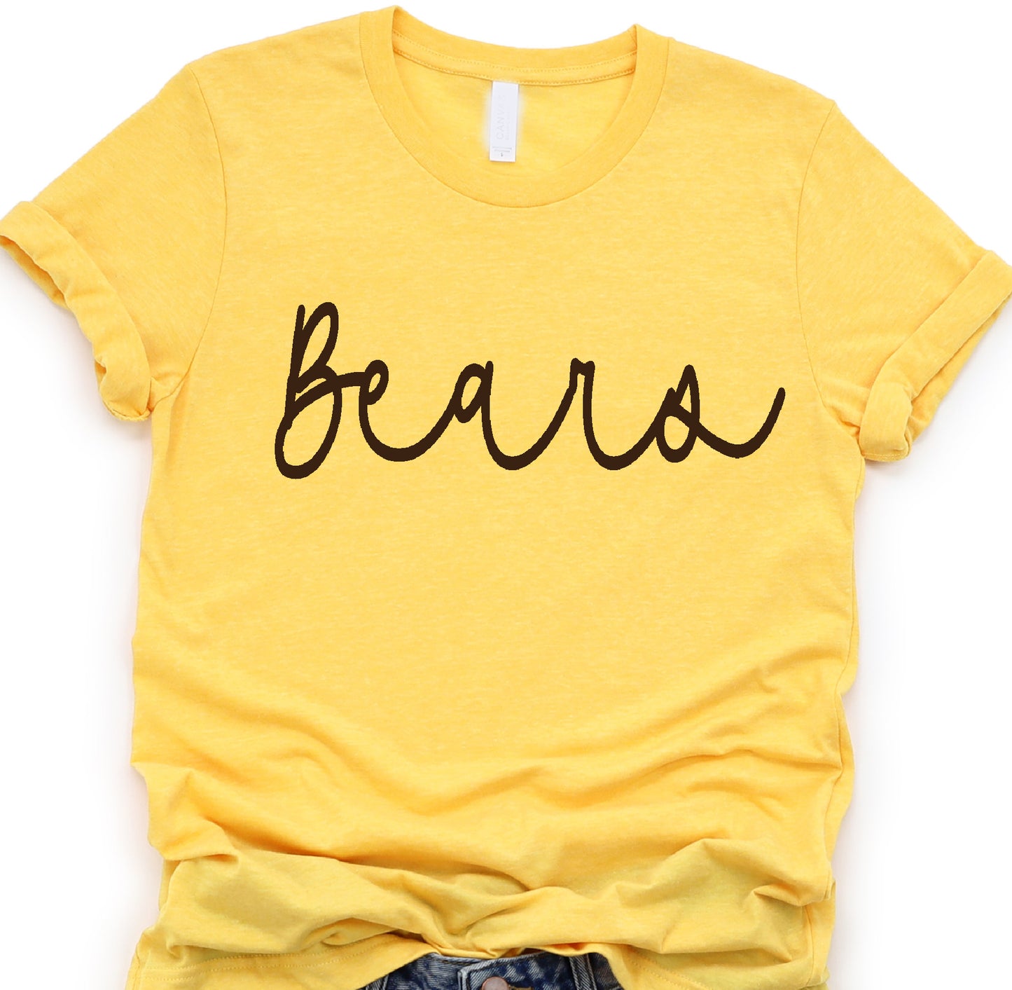 Bears DTF Transfers DTF2044