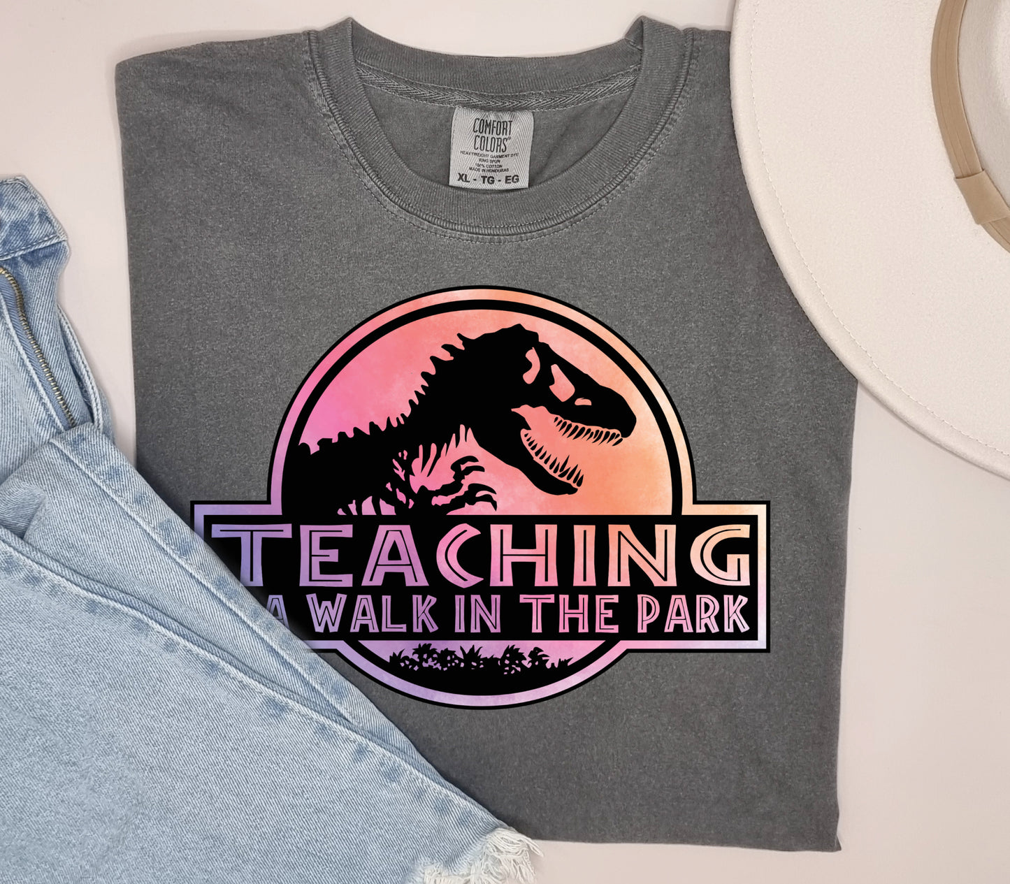 Teaching walk in the park DTF Transfers