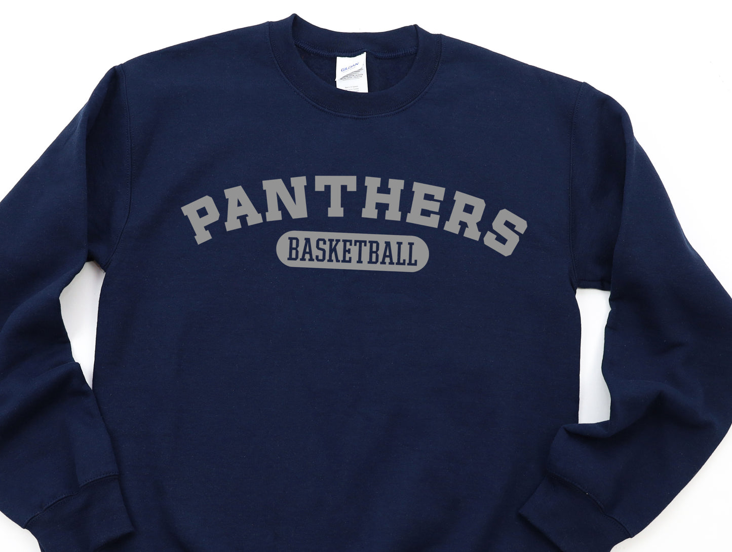 Panthers basketball gray DTF Transfers DTF4252