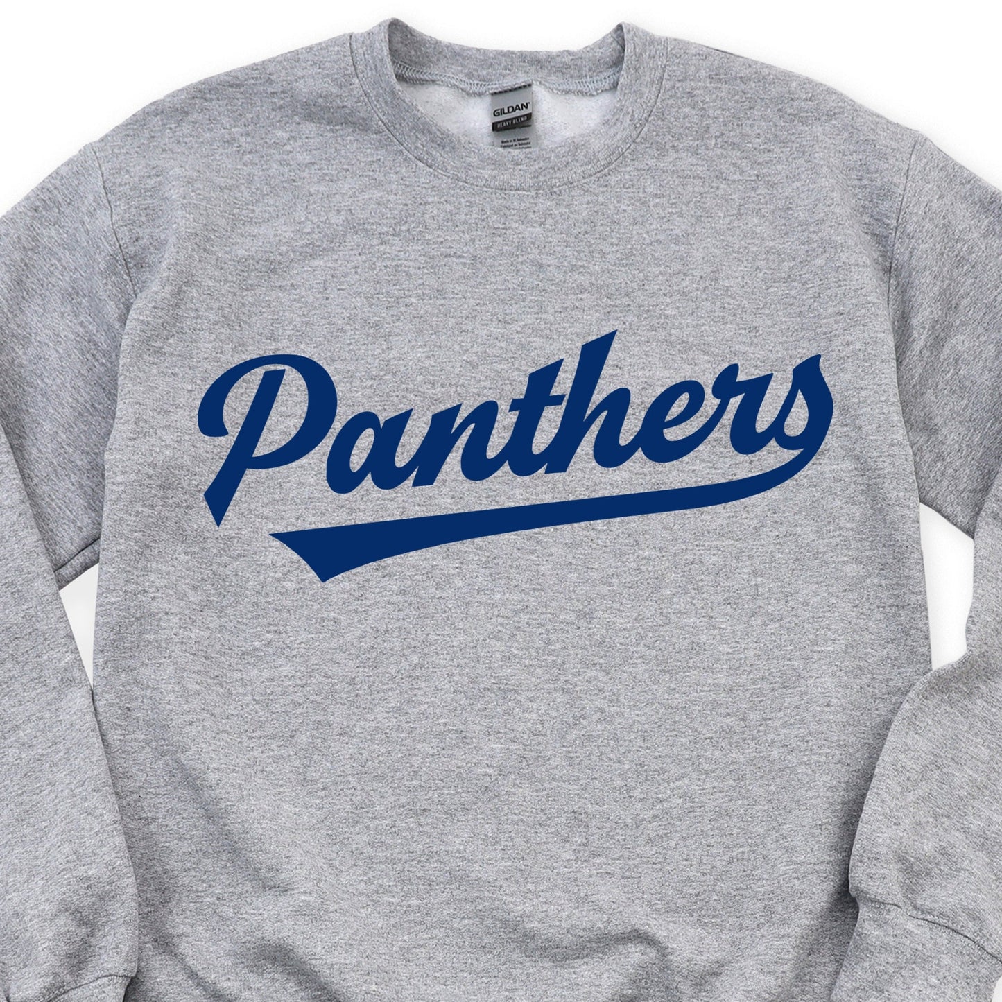 Panthers Swoosh DTF Transfers DTF4243