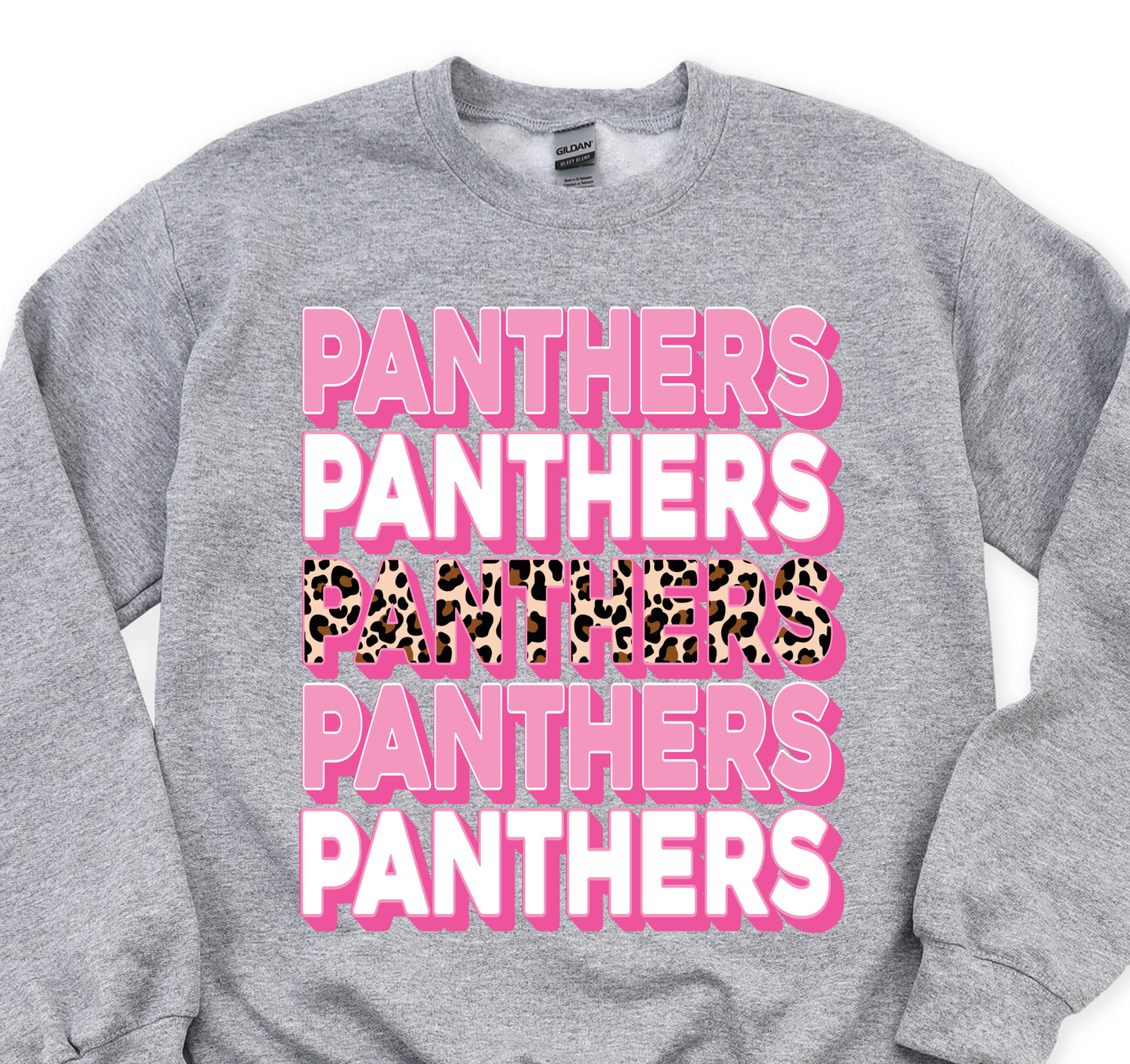 Panthers DTF Transfers DTF4262