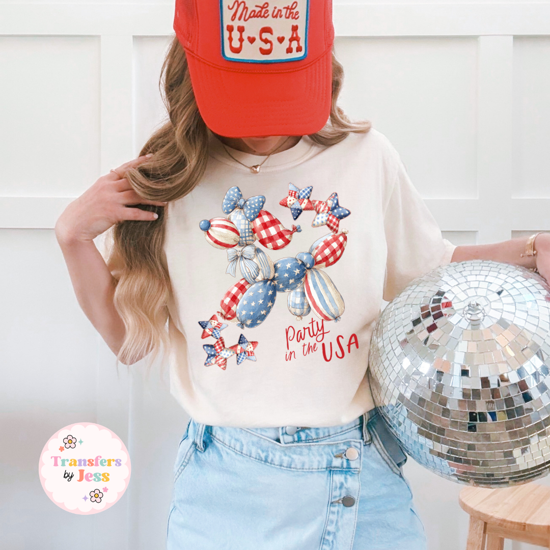 Party In The USA DTF Transfer