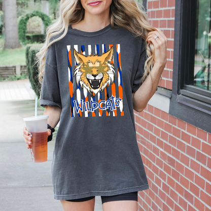 Starry Eyed Mascot Stripes DTF Transfer