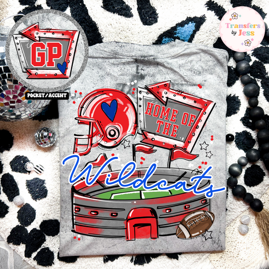 *Custom Football Stadium DTF Transfer